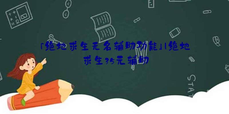 「绝地求生无名辅助功能」|绝地求生35元辅助